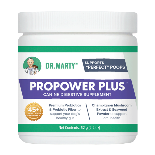 DR. MARTY ProPower Plus Digestive Health Supplement for Dogs Online now