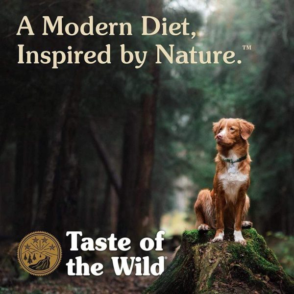 Taste Of The Wild Pacific Stream Canned Dog Food Online - Image 3