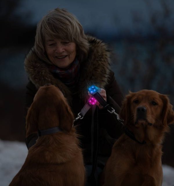 RC Pets Nova LED Light Online Sale - Image 5
